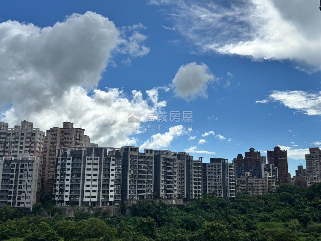 鑽石麗都稀有釋出房屋室內格局與周邊環境