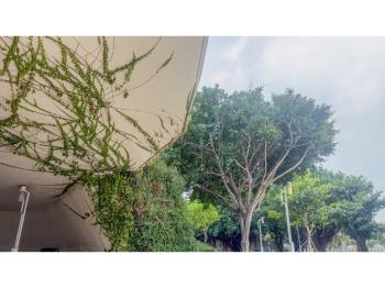 ★水湳中央公園兩房急平轉