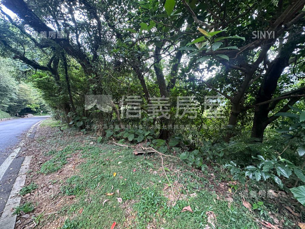 陽明山低總價土地房屋室內格局與周邊環境