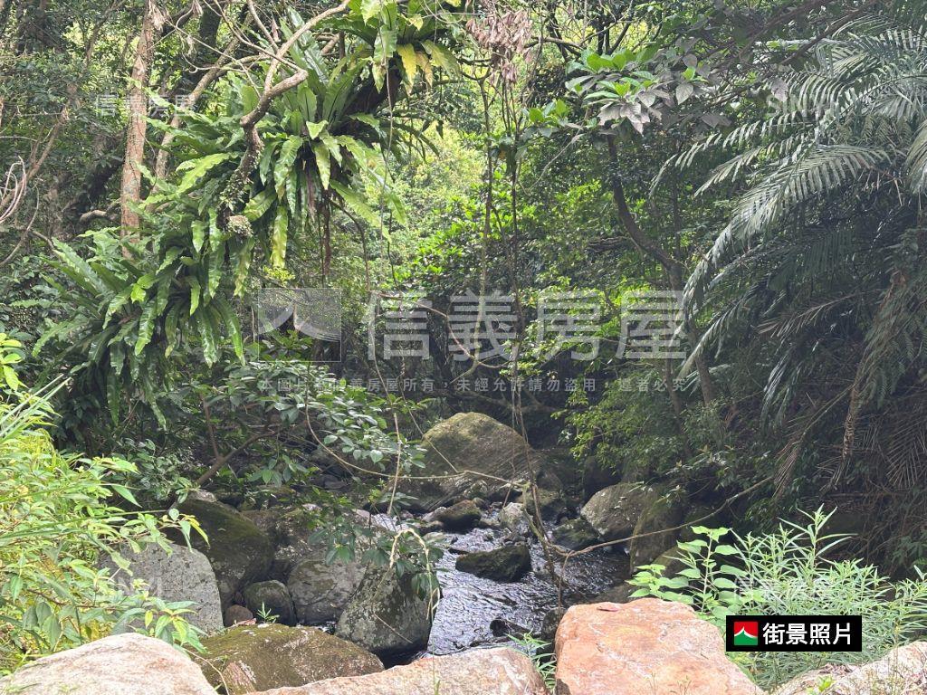 陽明山低總價土地房屋室內格局與周邊環境
