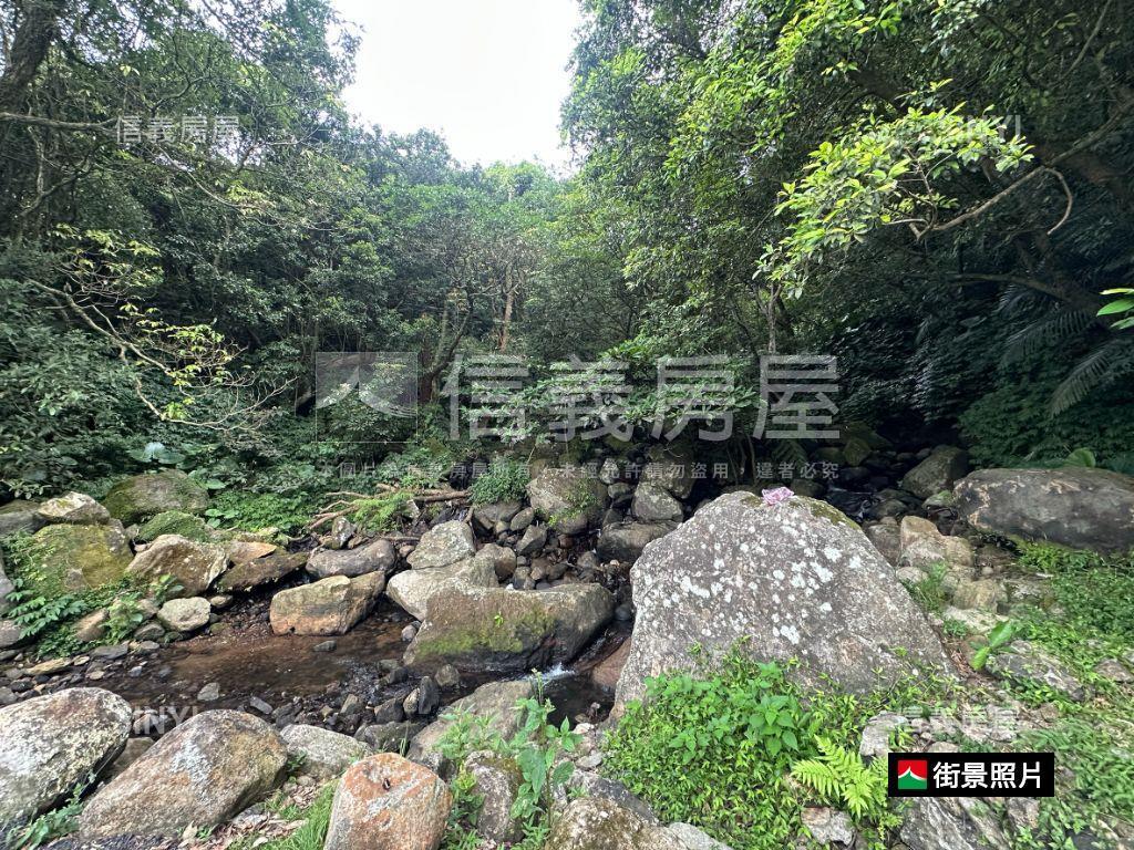 陽明山低總價土地房屋室內格局與周邊環境