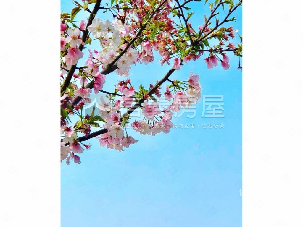 『石牌學區』邊間空地四房房屋室內格局與周邊環境