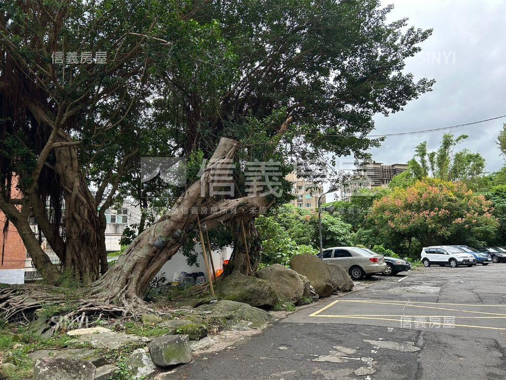 皇宮綠園只有強！房屋室內格局與周邊環境