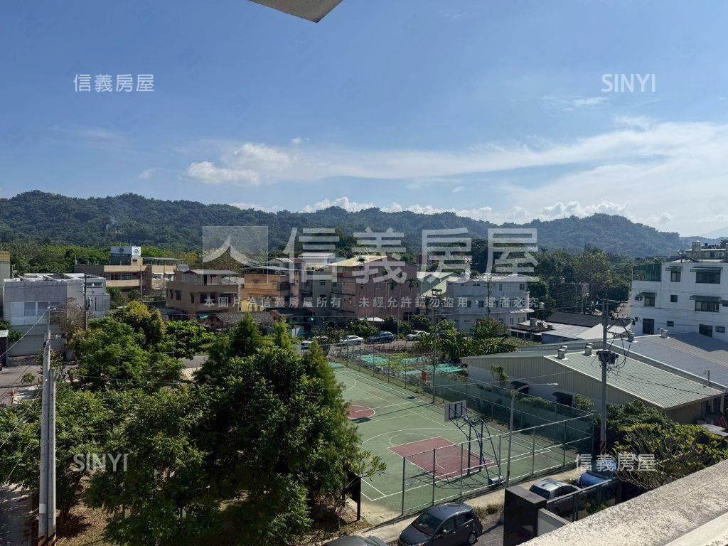 中興新村！獨棟電梯豪墅房屋室內格局與周邊環境