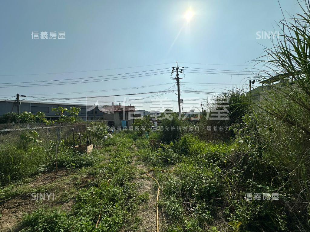 臨路方正農地誠意出售B房屋室內格局與周邊環境