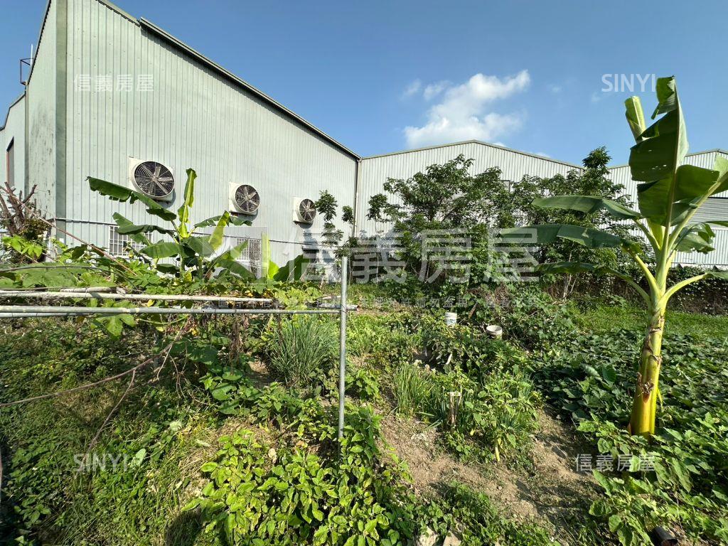 臨路方正農地誠意出售B房屋室內格局與周邊環境