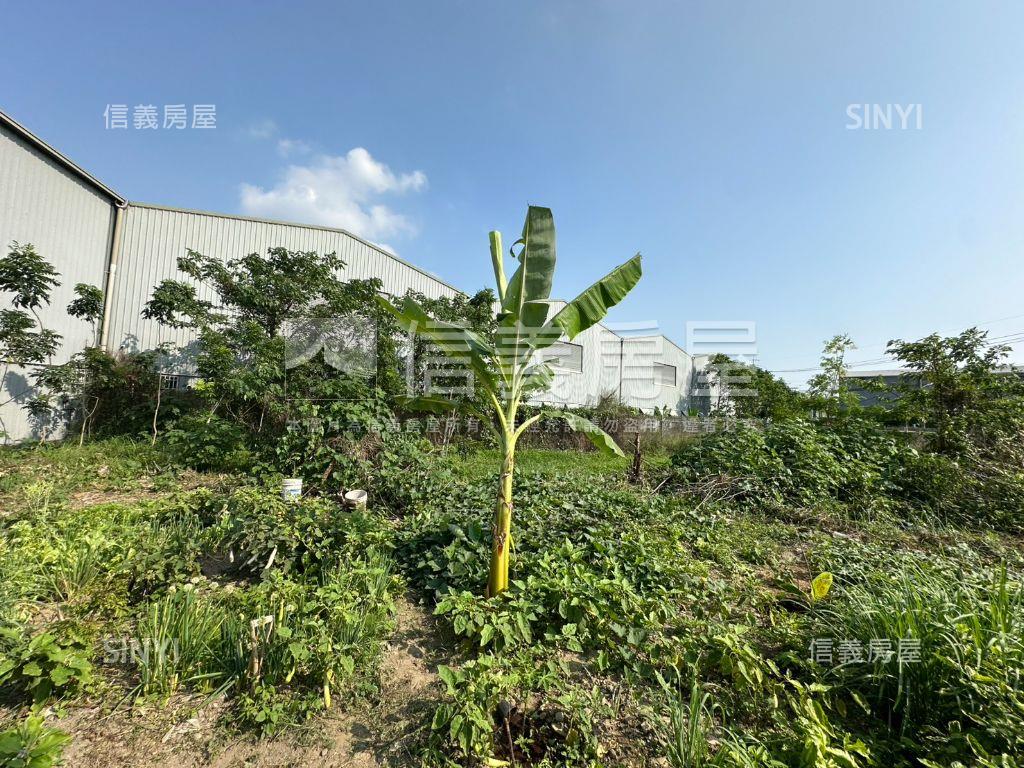 臨路方正農地誠意出售B房屋室內格局與周邊環境