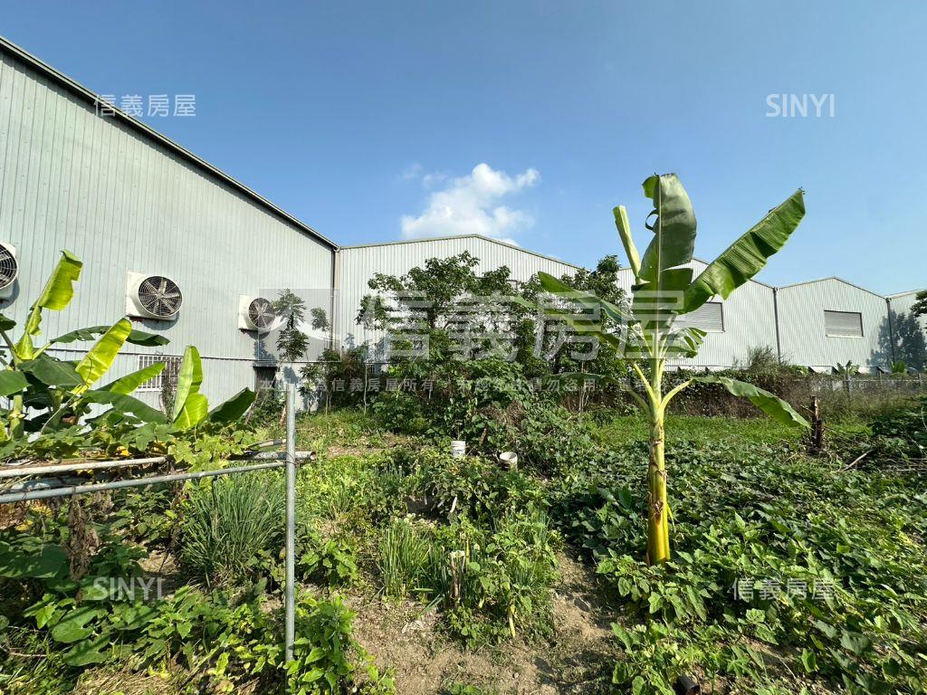 臨路方正農地誠意出售B房屋室內格局與周邊環境