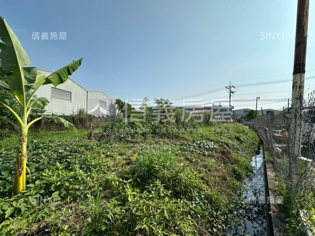 臨路方正農地誠意出售B房屋室內格局與周邊環境