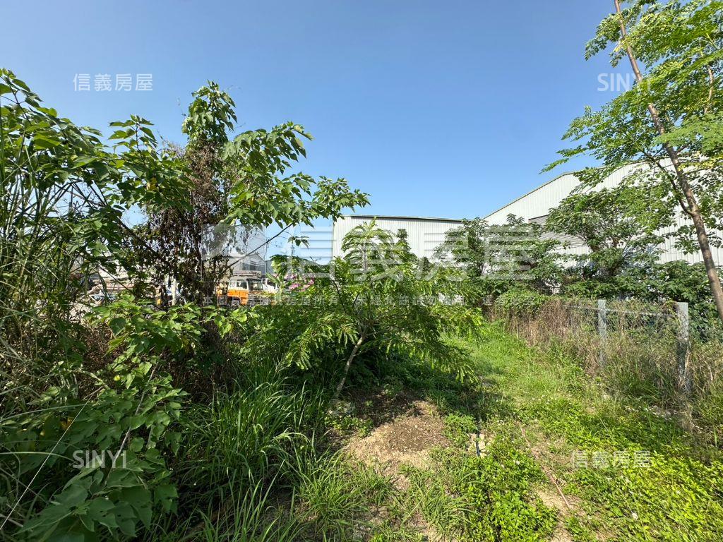 臨路方正農地誠意出售B房屋室內格局與周邊環境