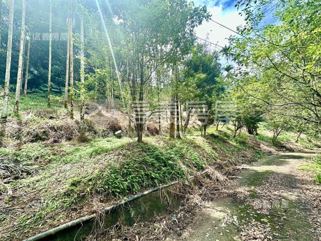 新社土地Ｂ房屋室內格局與周邊環境