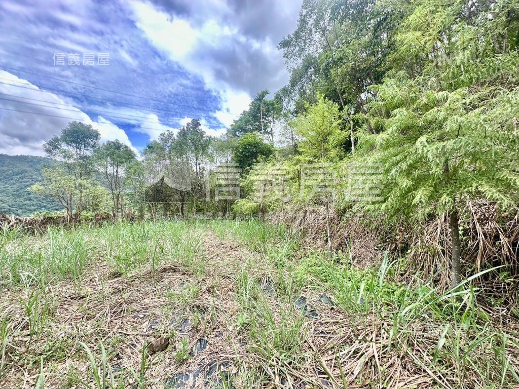 新社土地Ｂ房屋室內格局與周邊環境