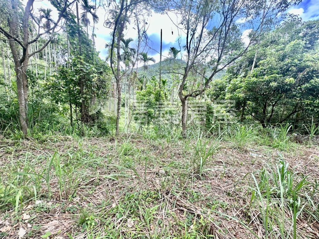 新社土地Ｂ房屋室內格局與周邊環境
