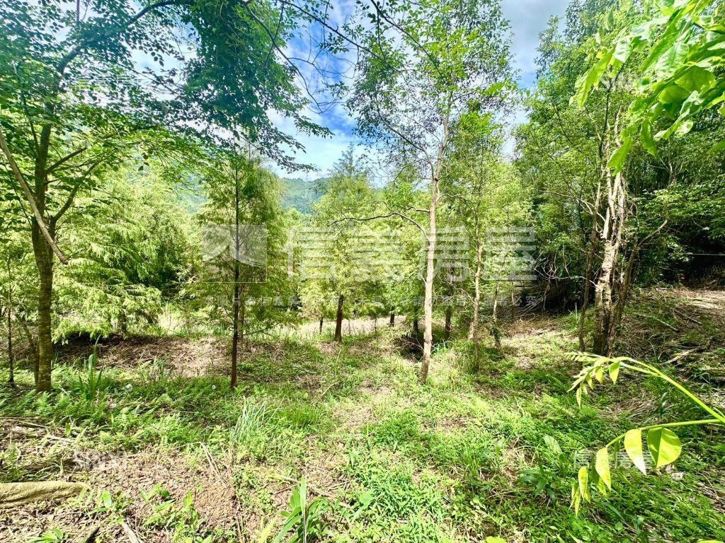 新社土地Ｂ房屋室內格局與周邊環境