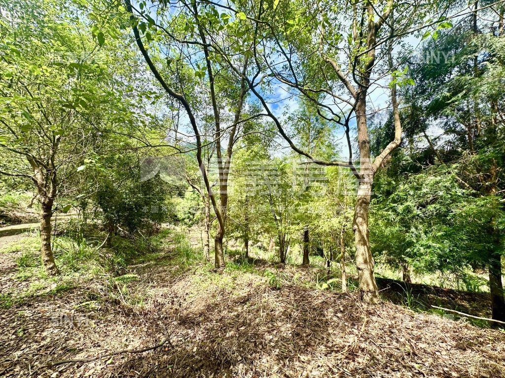 新社土地Ｂ房屋室內格局與周邊環境