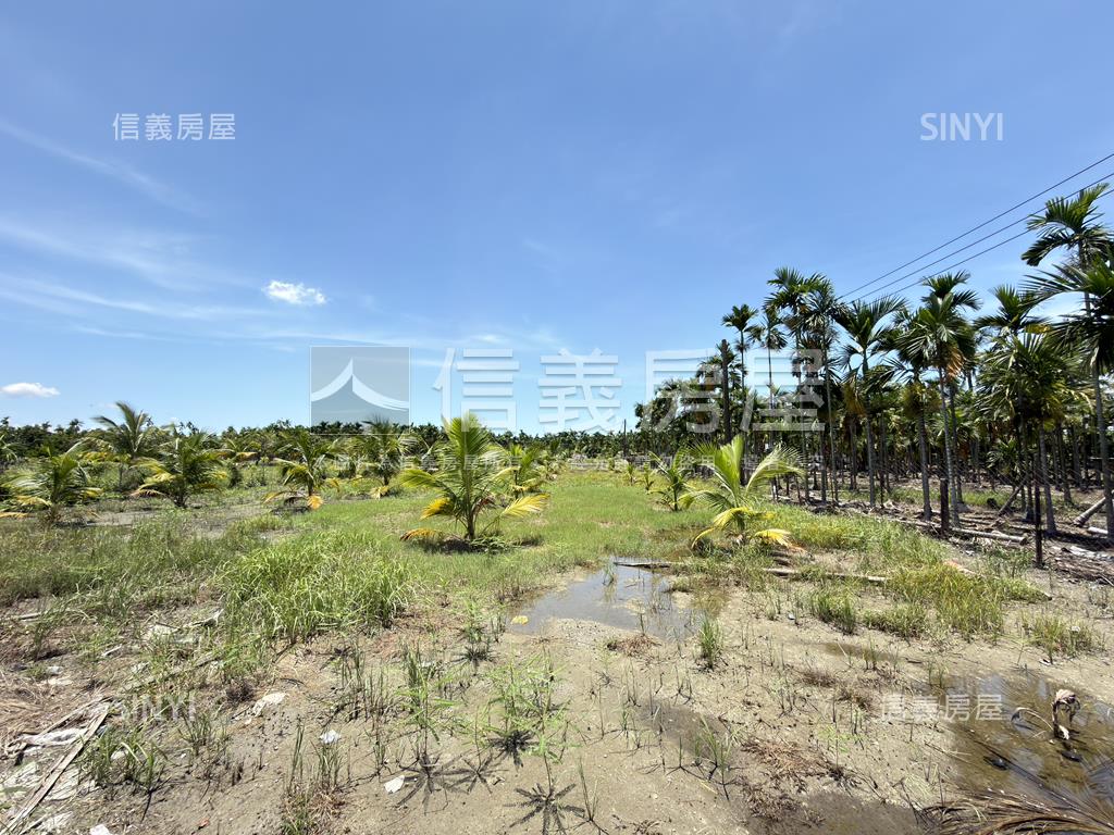 南州都內農地房屋室內格局與周邊環境