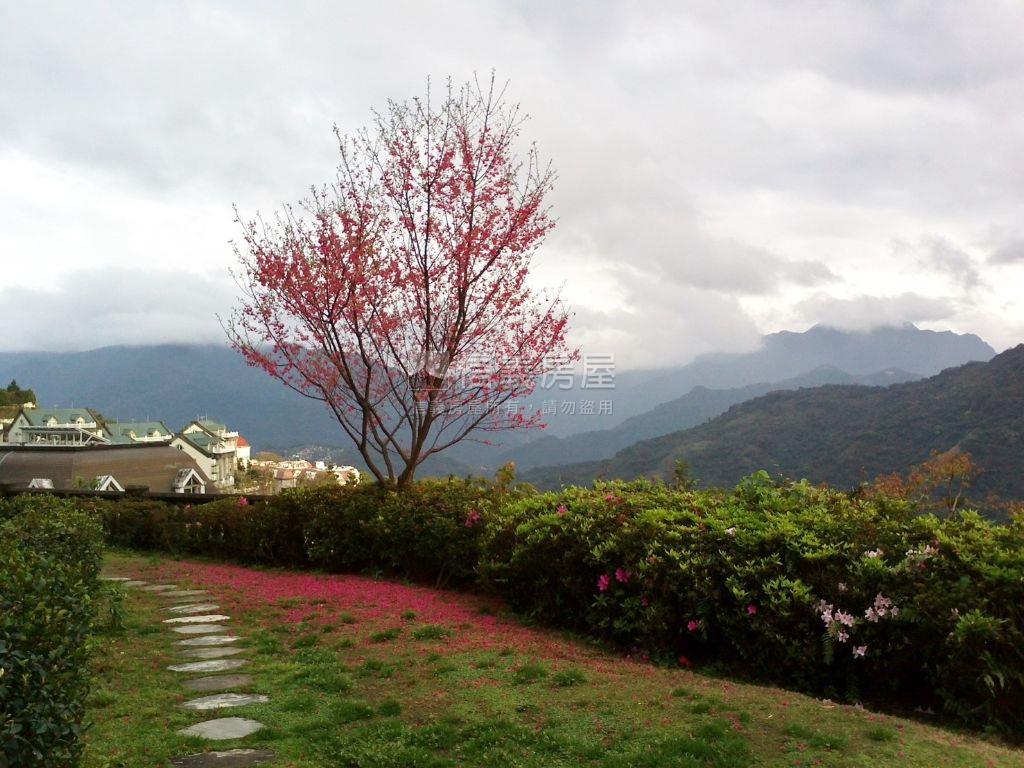 ⭐石上清泉仙境景觀雅居房屋室內格局與周邊環境