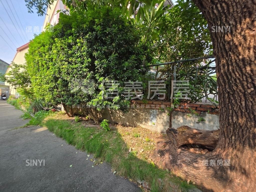 新婚首購最愛有天有地美屋房屋室內格局與周邊環境