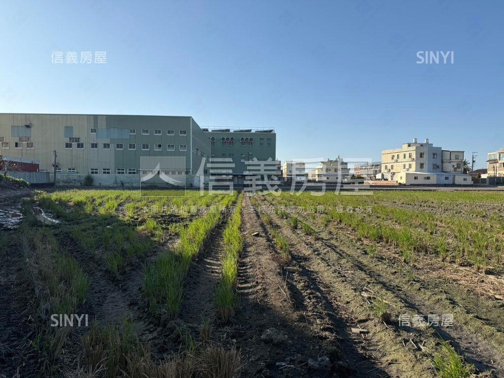 梧棲近中央路寬闊農地房屋室內格局與周邊環境