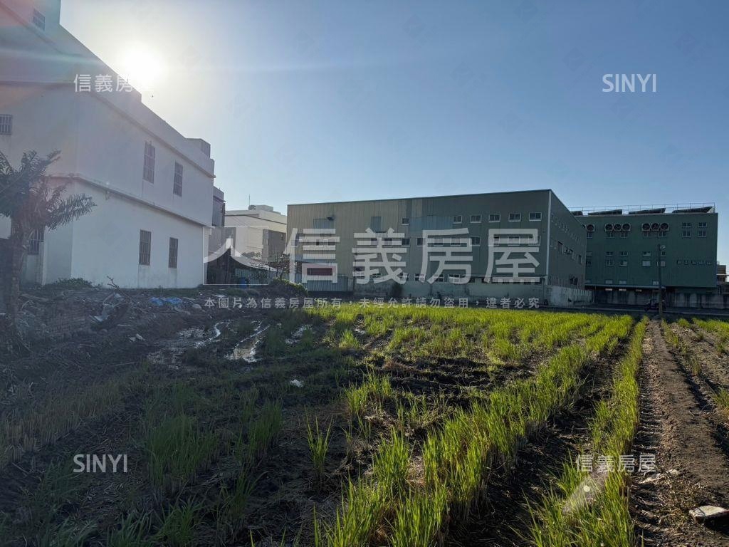 梧棲近中央路寬闊農地房屋室內格局與周邊環境