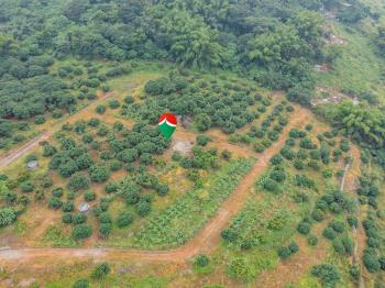 草屯土地約２５２７坪