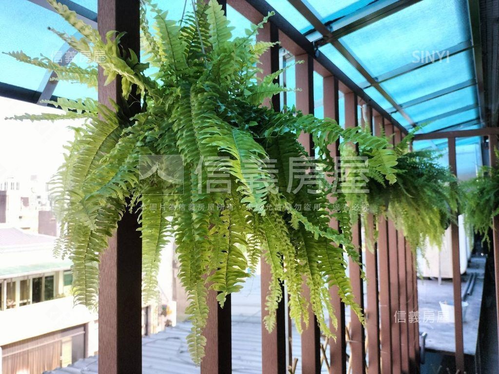 西門町萬年商業大樓房屋室內格局與周邊環境