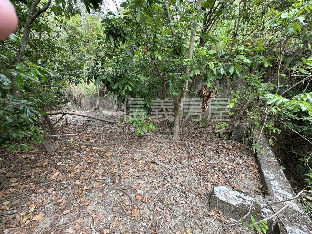 大社土地柑宅巷山坡地房屋室內格局與周邊環境
