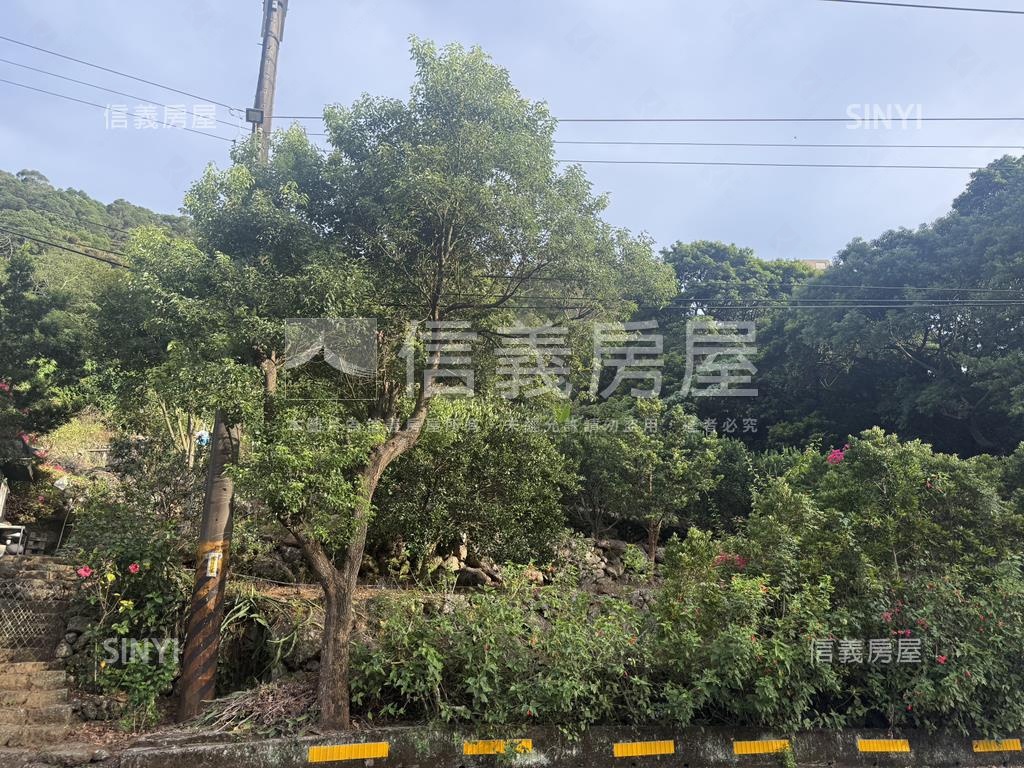 專任坪頂路稀有土地房屋室內格局與周邊環境