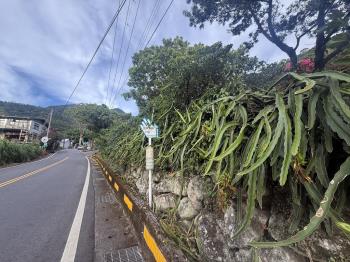 專任坪頂路稀有土地