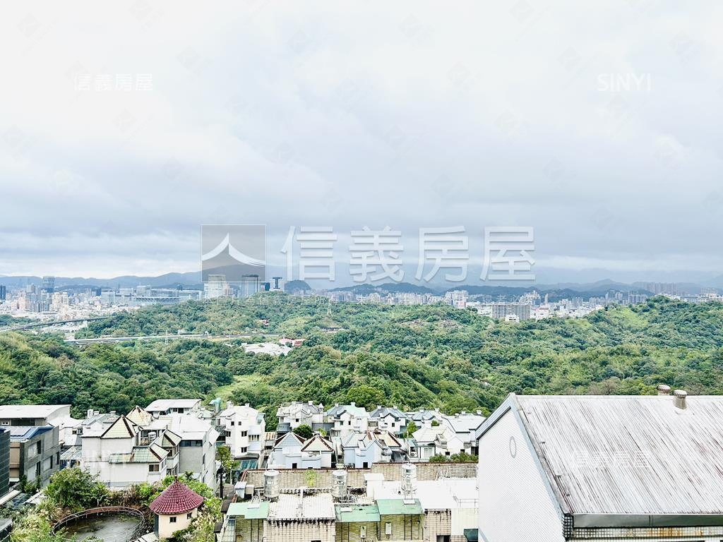 專任Ａ＋面山全景大兩房車房屋室內格局與周邊環境