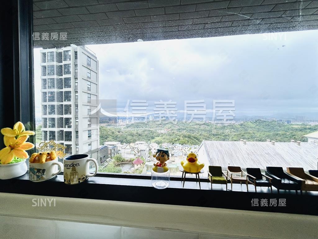 專任Ａ＋面山全景大兩房車房屋室內格局與周邊環境
