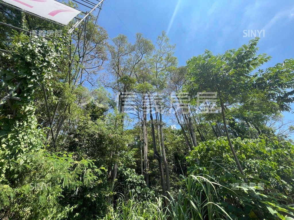 北屯土地３房屋室內格局與周邊環境