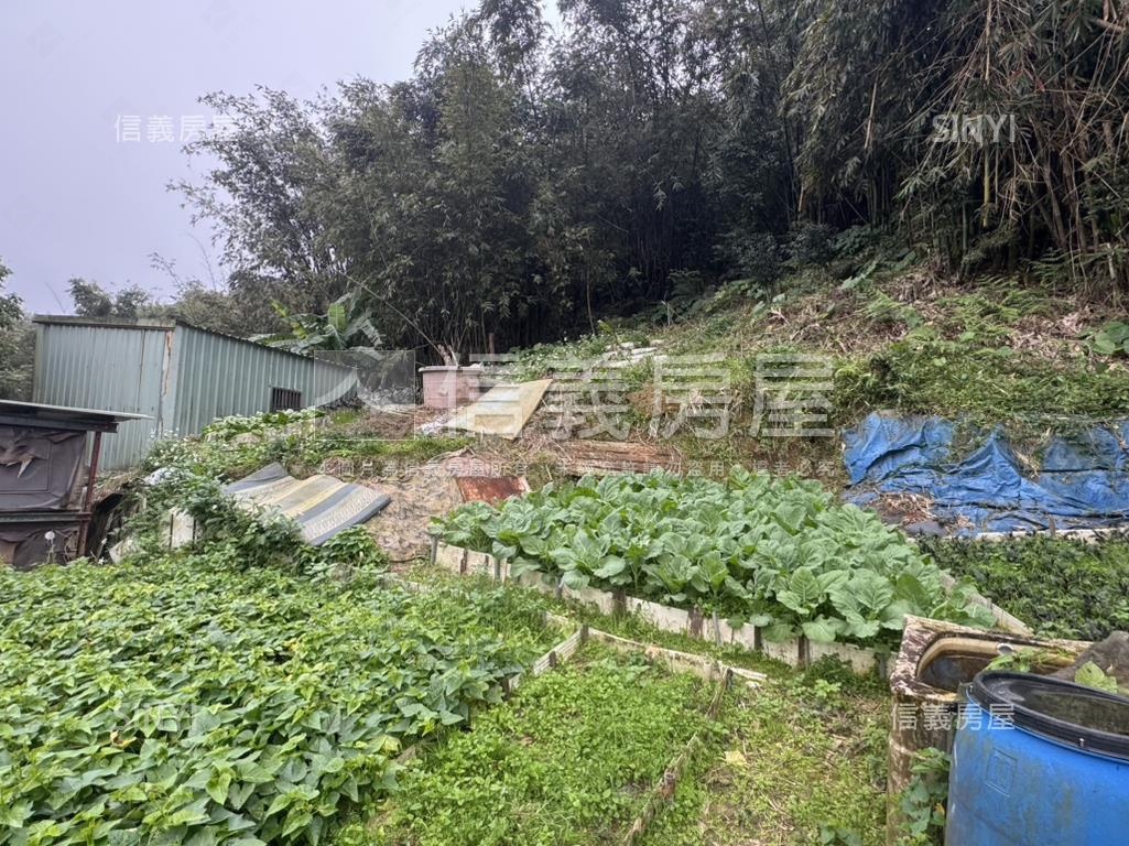 汐止未來眼光土地房屋室內格局與周邊環境