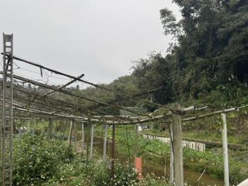 汐止未來眼光土地