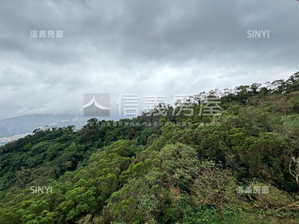 綠中海邊間樹海高樓房屋室內格局與周邊環境