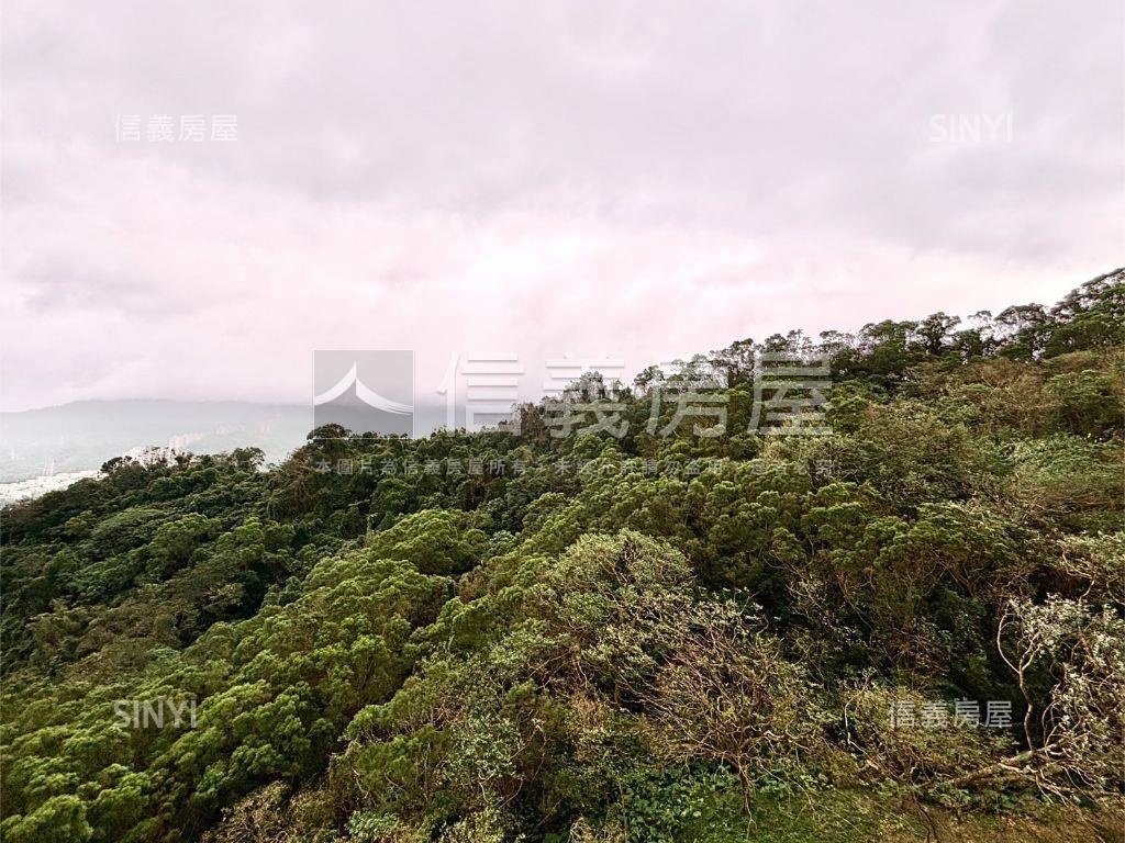 綠中海邊間樹海高樓房屋室內格局與周邊環境