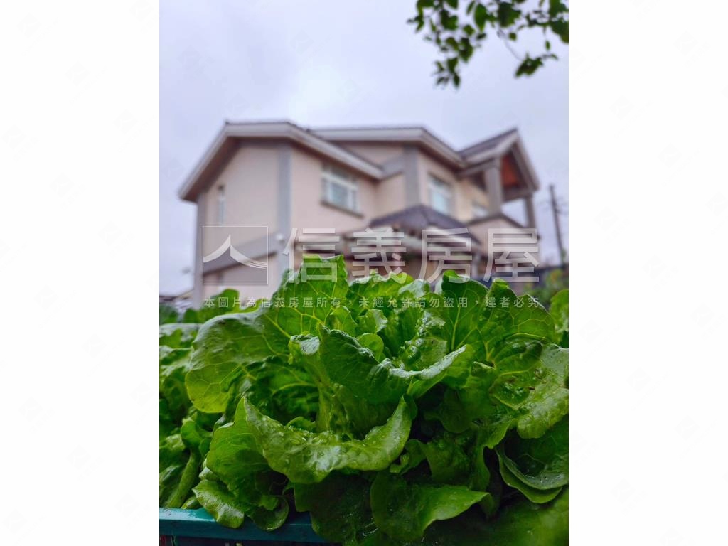 開心農場在我家房屋室內格局與周邊環境