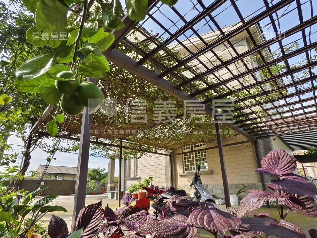 開心農場在我家房屋室內格局與周邊環境