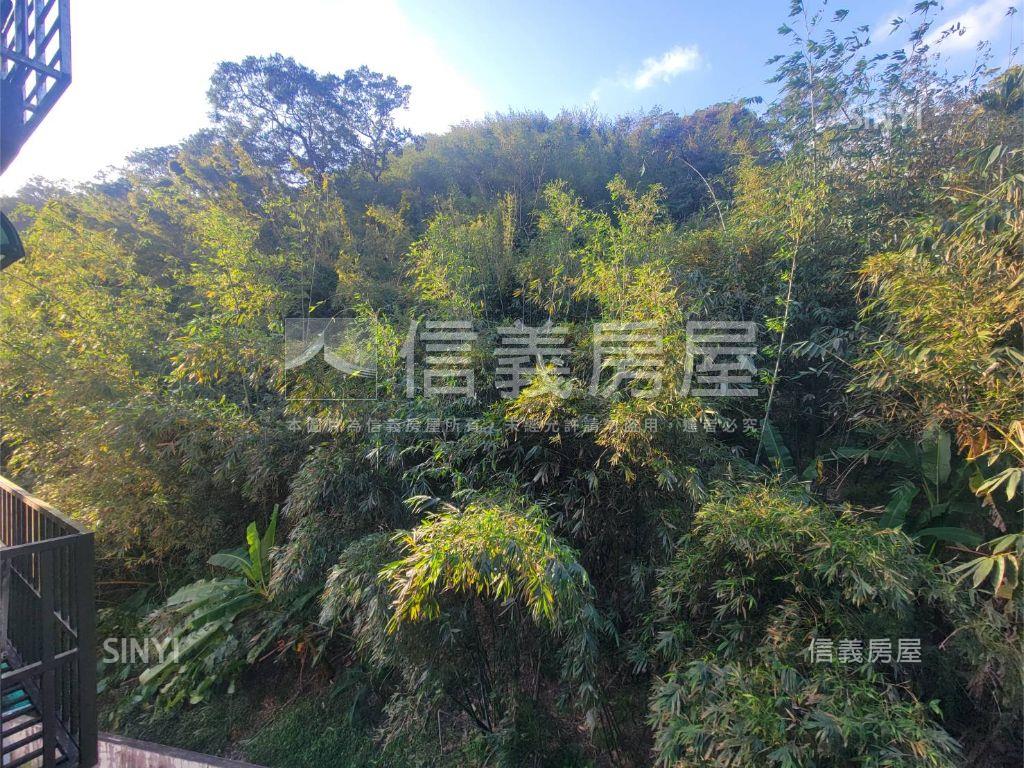 美麗國採光樹景美屋房屋室內格局與周邊環境