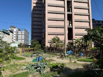 八里住三土地（可整合）