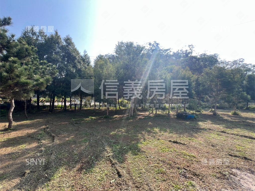 青青草原朝東南別墅房屋室內格局與周邊環境