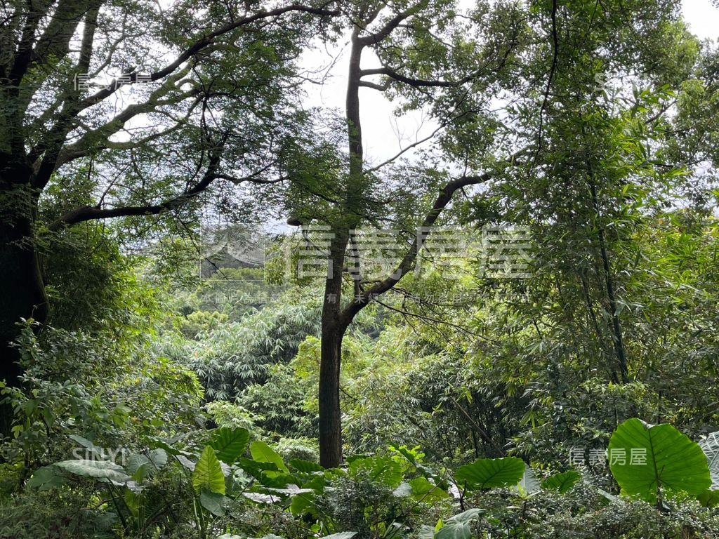 龜山幸福段０１０７持分地房屋室內格局與周邊環境