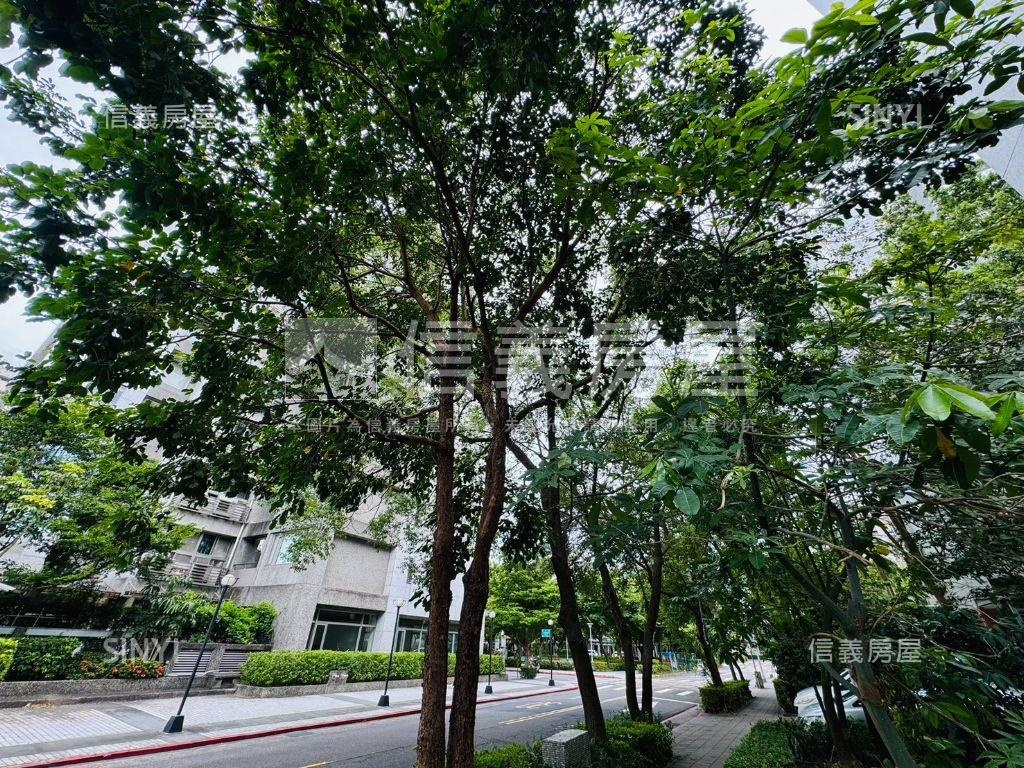 難得一見．Ｃ區樹海房屋室內格局與周邊環境