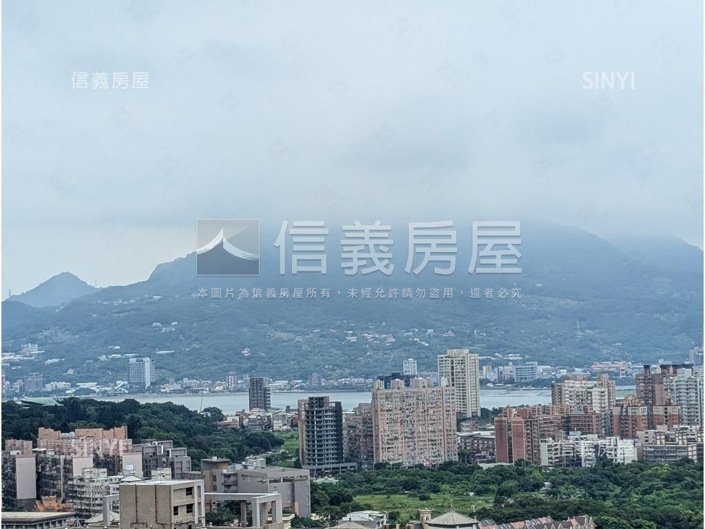 水悅高樓景觀視野一級棒房屋室內格局與周邊環境