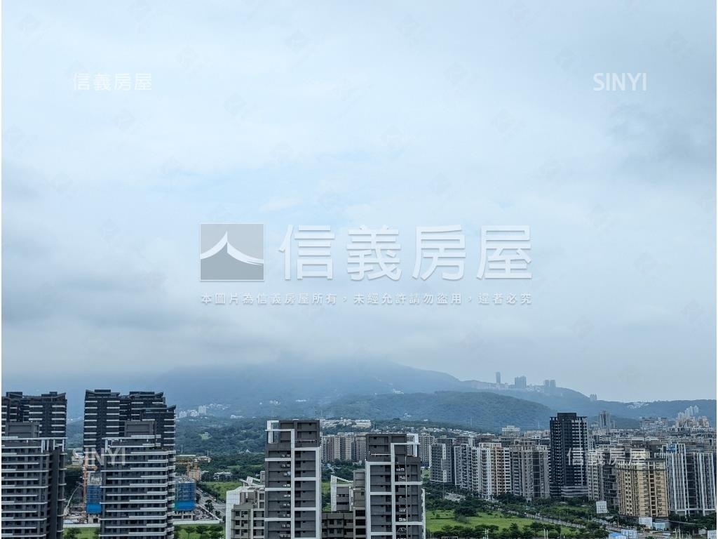 水悅高樓景觀視野一級棒房屋室內格局與周邊環境