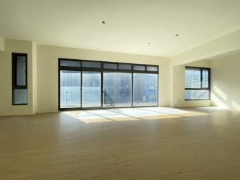 近台元原摺大戶雙車位