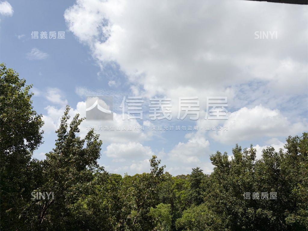 中央公園前棟四房雙平車房屋室內格局與周邊環境