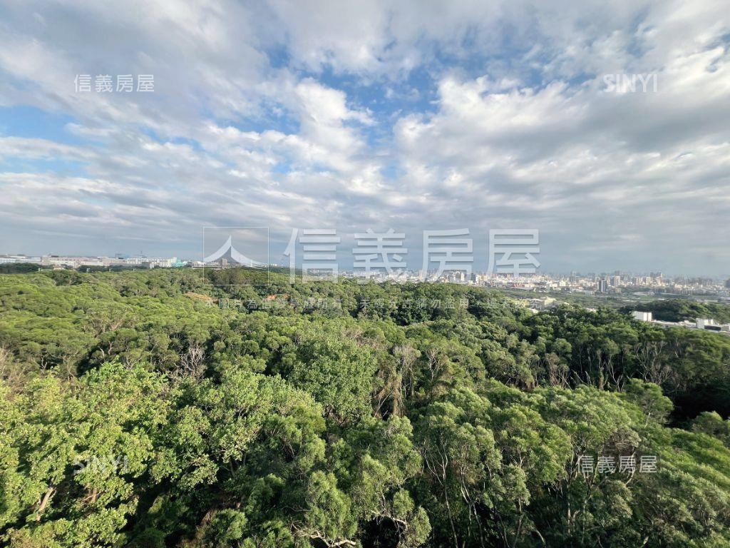 近明新科大美裝潢視野戶房屋室內格局與周邊環境