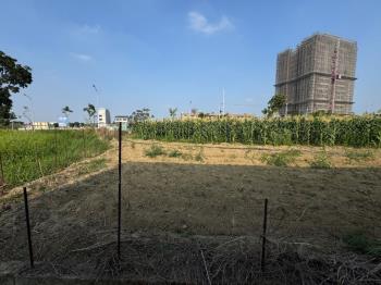 歸仁近高鐵特區土地