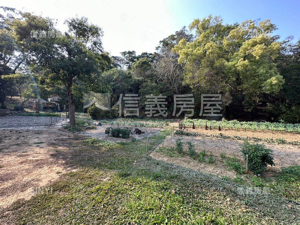 三義台一線車水馬龍大角地房屋室內格局與周邊環境